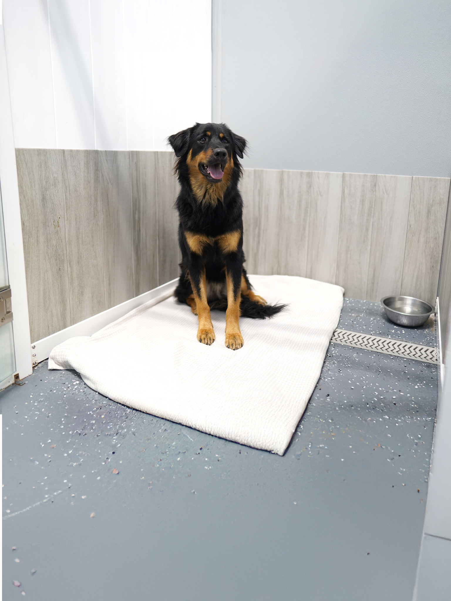 Dog boarding fort lauderdale facility Dog boarding fort lauderdale facility